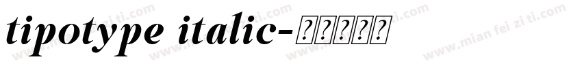 tipotype italic字体转换